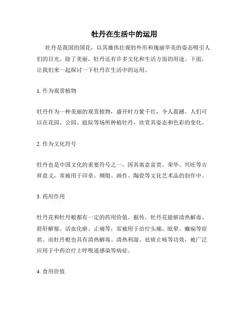 牡丹在生活中的运用