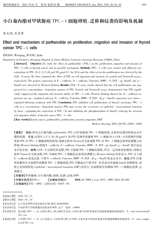 小白菊内酯对甲状腺癌TPC-1细胞增殖、迁移和侵袭的影响及机制