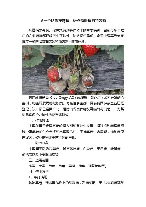 又一个防治灰霉病、斑点落叶病的特效药