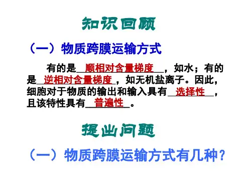 跨膜运输方式PPT30页课件