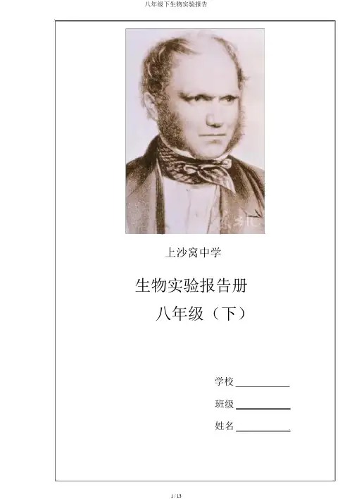 八年级下生物实验报告