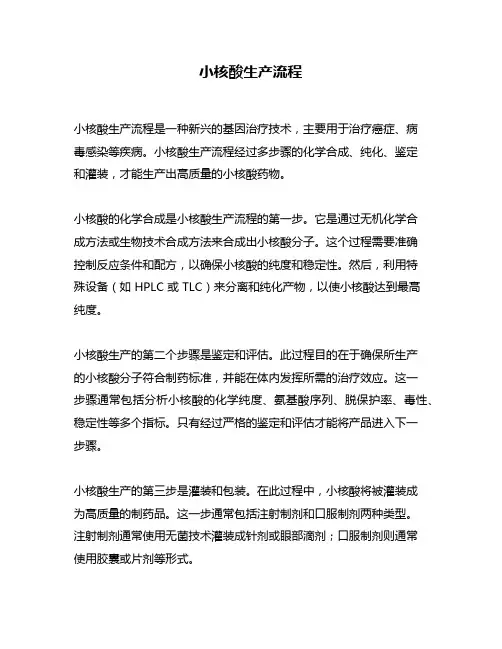 小核酸生产流程