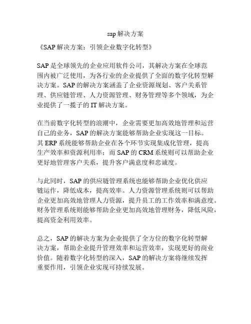 sap解决方案