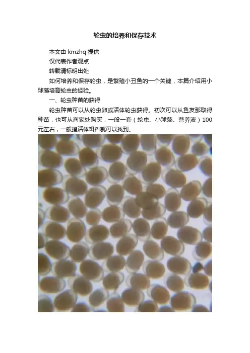 轮虫的培养和保存技术