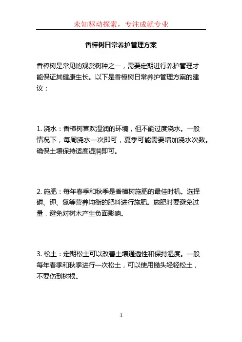 香樟树日常养护管理方案