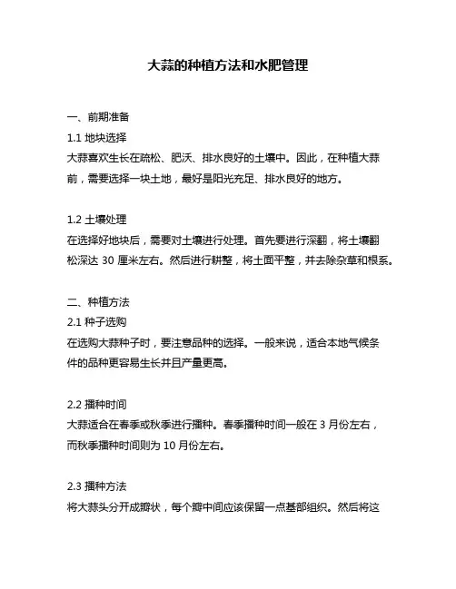 大蒜的种植方法和水肥管理