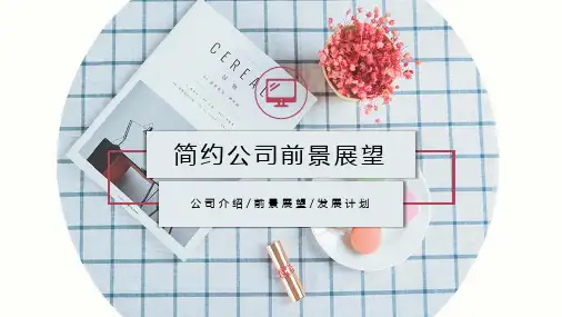 通用企业公司前景展望未来规划ppt模板