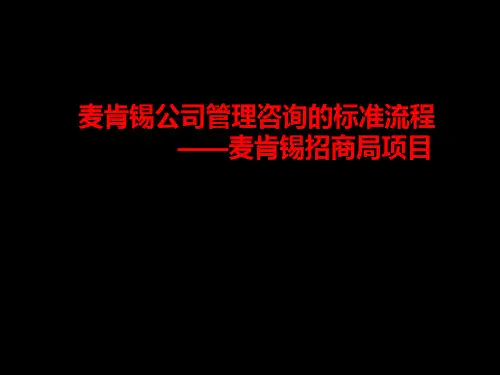 (精)某咨询提案标准流程