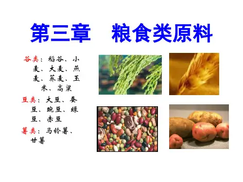 食品原料学：第三章--粮食类原料可编辑全文