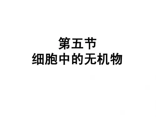 高中生物必修1课件2.5 细胞中的无机物课件(共36张PPT)