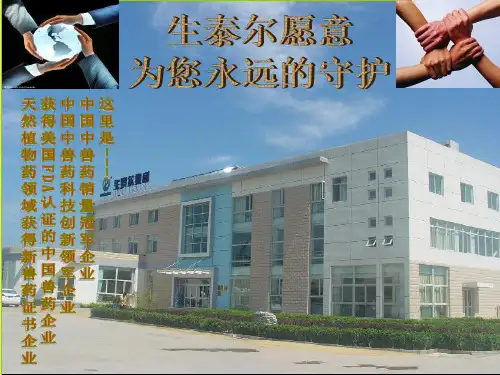 黄橙素在三黄鸡养殖中的应用ppt课件