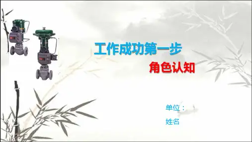 角色认知 PPT