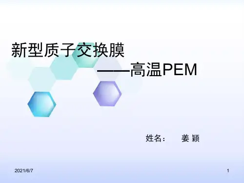 新型质子交换膜.PPT课件