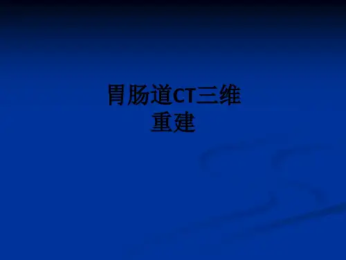 胃肠道CT三维重建ppt课件