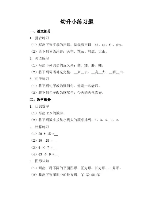 幼升小练习题