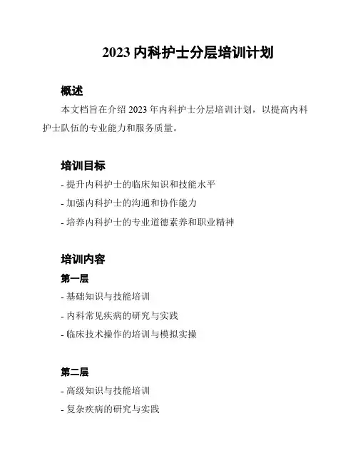 2023内科护士分层培训计划