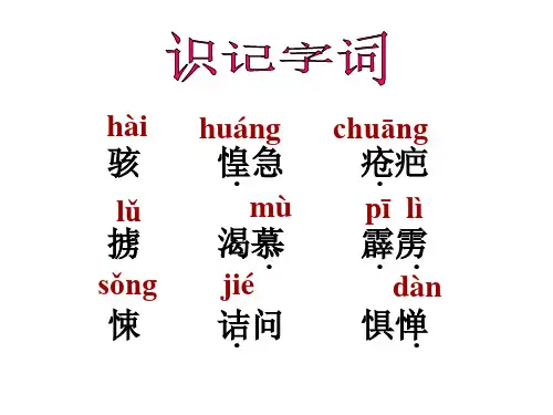 阿长与山海经ppt课件.ppt