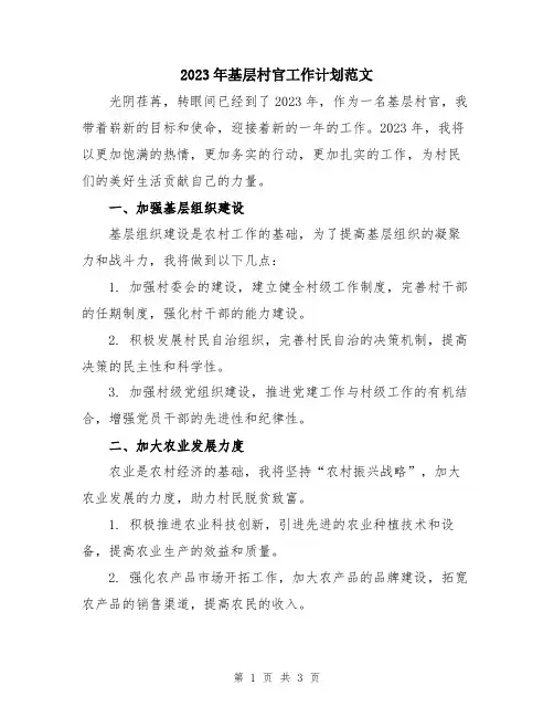 2023年基层村官工作计划范文