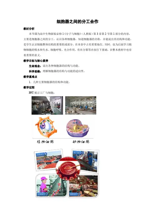 教学设计1：3.2 细胞器之间的分工合作