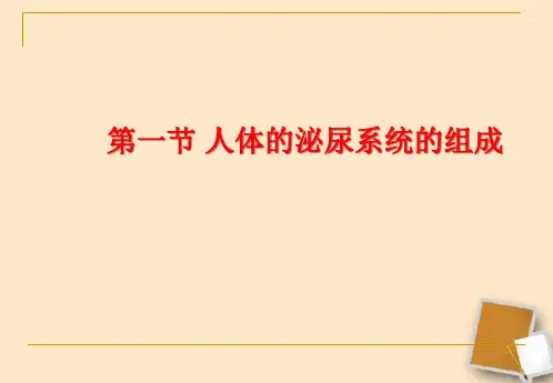 苏教版生物七下11.1《人体泌尿系统的组成》说课课件(共28张PPT)