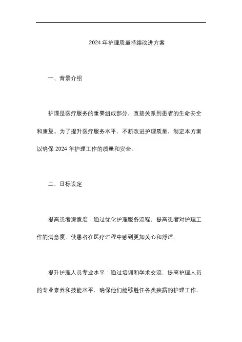2024年护理质量持续改进方案