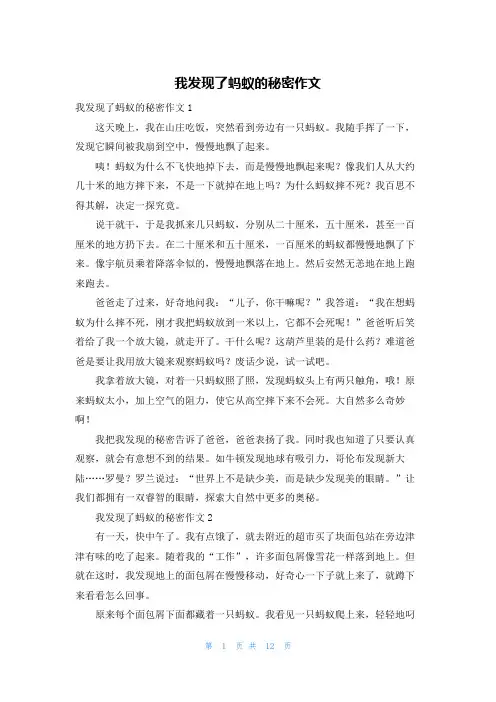 我发现了蚂蚁的秘密作文