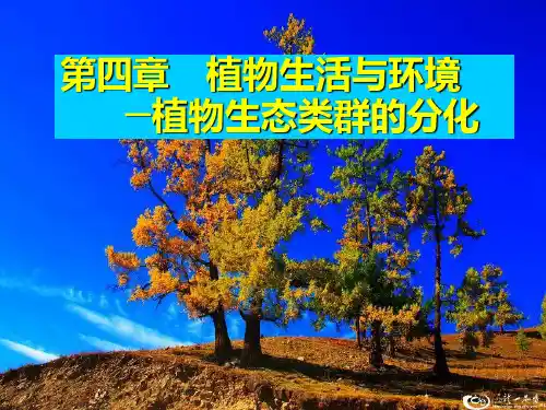 植物地理第四章PPT课件
