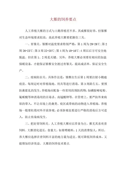 大雁的饲养要点