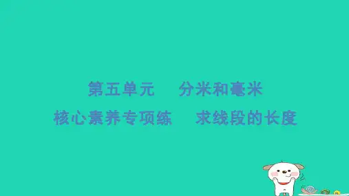 二年级数学下册五分米和毫米核心素养专项练求线段的长度习题课件苏教版