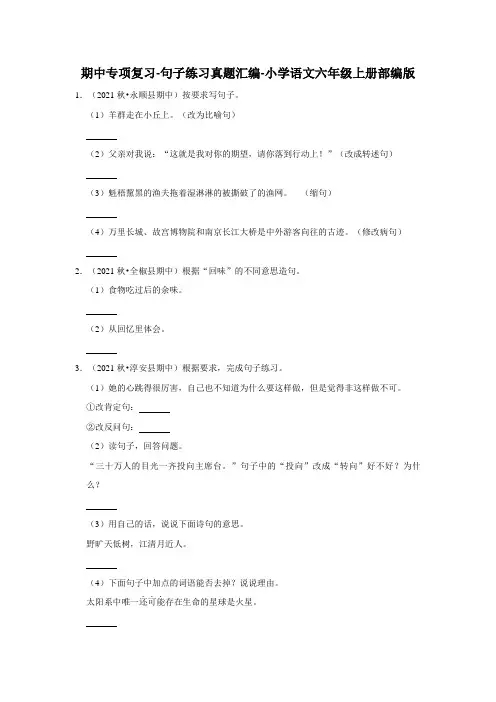 期中专项复习-句子练习真题汇编-(试题)部编版语文六年级上册