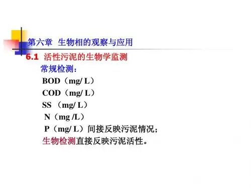 水处理微生物学(第十一讲)