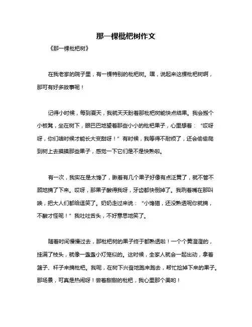 那一棵枇杷树作文