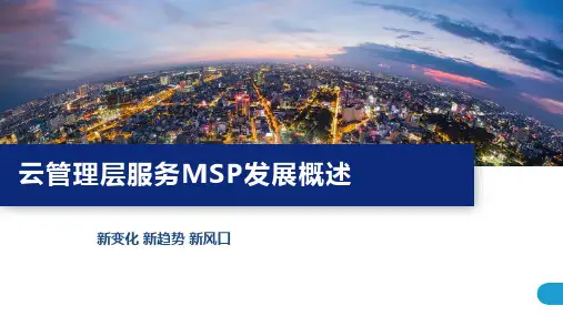 云管理层服务MSP发展概述