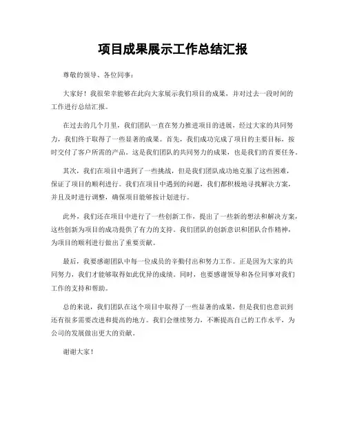 项目成果展示工作总结汇报