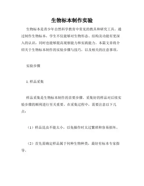 生物标本制作实验