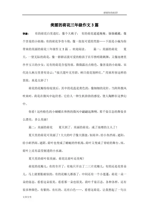 美丽的荷花三年级作文3篇