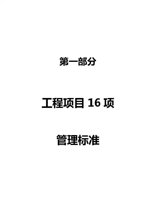 项目管理流程再造及标准化管理程序