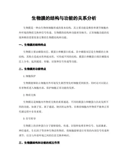 生物膜的结构与功能的关系分析