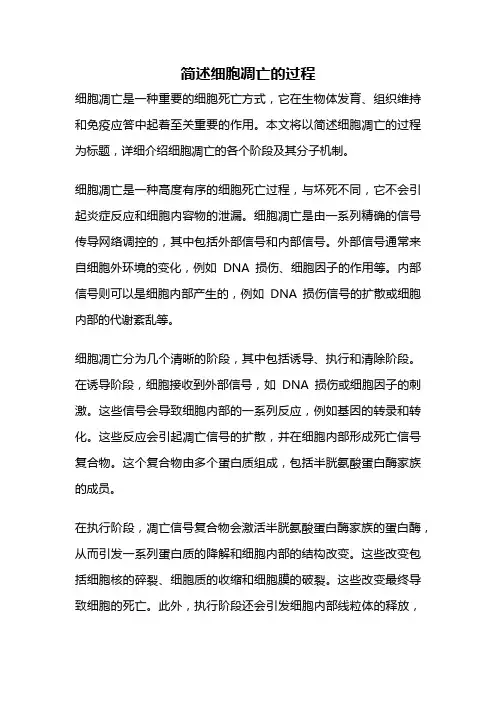 简述细胞凋亡的过程