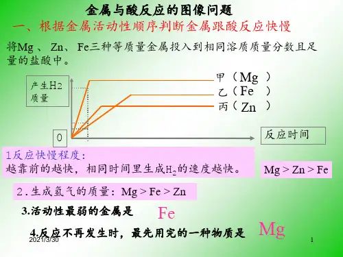 金属与酸反应的图像问题 ppt课件