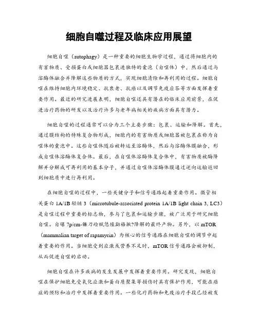 细胞自噬过程及临床应用展望