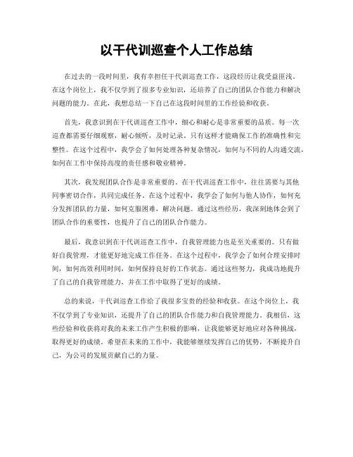 以干代训巡查个人工作总结