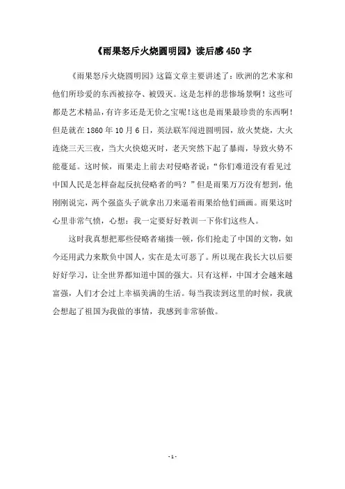 《雨果怒斥火烧圆明园》读后感450字
