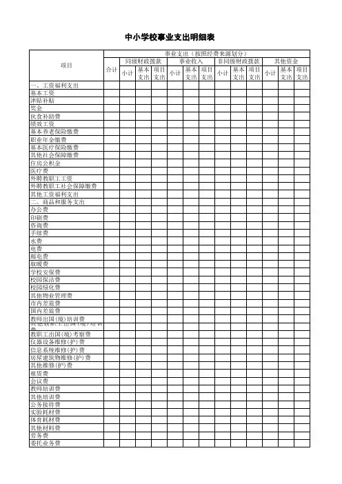 中小学校事业支出明细表