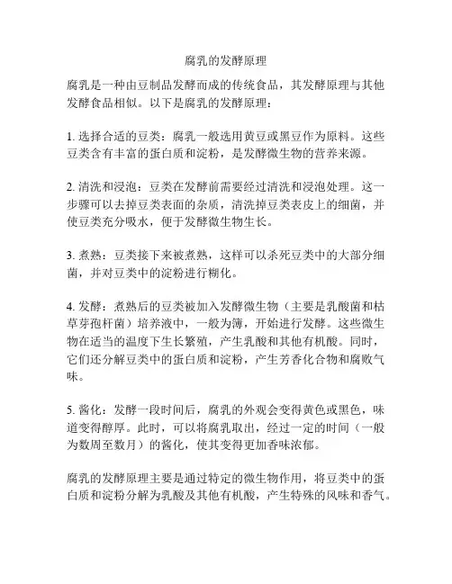 腐乳的发酵原理