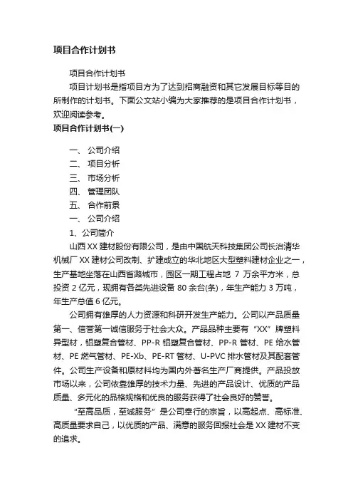 项目合作计划书