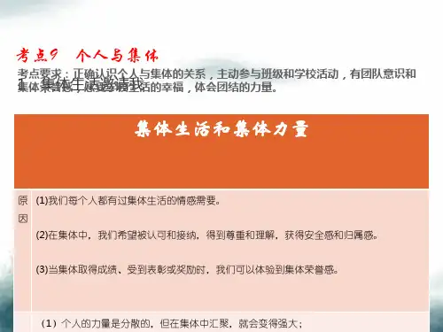 2019届中考道德与法治总复习考点9个人与集体课件