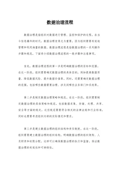 数据治理流程