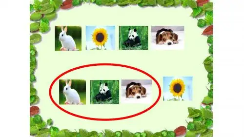 小学数学三年级人教版上册《数学广角-集合》图文