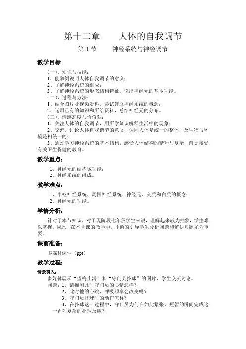 神经系统与神经调节教案